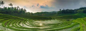 Toko Dapur IBU Ridderkerk