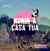 NONIN - bar del viale