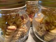 Bar Aiello - Il bar di Giorgio a Talenti