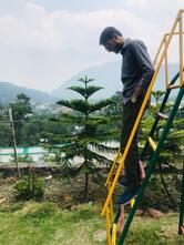 Singh's Restaurant & Anant Vilas resort kaichi dham road