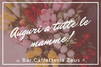 Bar Caffetteria Zeus