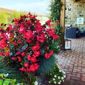 Agriturismo La Ratta