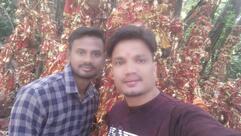 Lemon Castle Restaurant