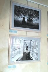 Saltallocchio Caffe'