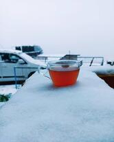 Auli Chai Cafe Uttarkashi