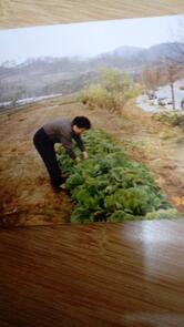 영산강오리탕