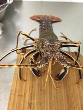 Ristorante Pizzeria La Pista Di Meola Irene