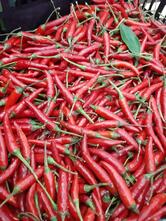 Agriturismo Nonna Rina