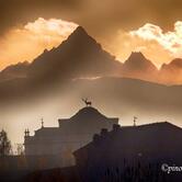 Boccadillo - Roll & Burger