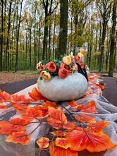 Restaurant Metropol Babana Pitesti