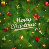 NETTUNO Pescheria con cucina