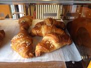 Ploom Store - Tabaccheria & Caffetteria Di Grazia