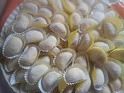 Pizzas, doces e salgados