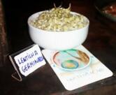 Cozinha Alquimia Piracanga