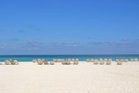 Bocadillos Paninoteca