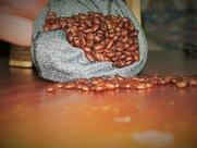 Maison du Saїgon - Morocco Ifrane