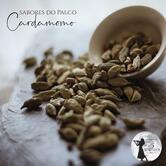 Palco dos 5 Sentidos