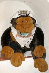 " OSTERIA LA DOGANA - CONTRADA VOLTAIA "