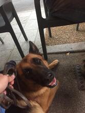 Bar Tabac Le Longchamp