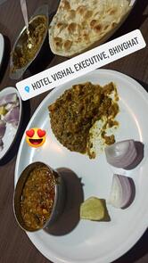 Hotel Vishal Executive