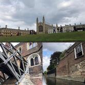 Didi Offensiv - Fussballkulturbar