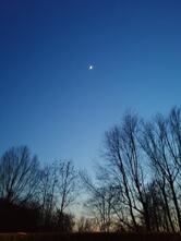 Ristorante Pizzeria Nonna Nice