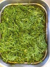 Restaurante Prato Cheio