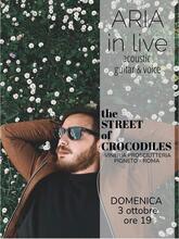 The street of crocodiles