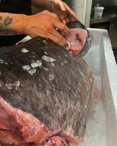 LO SPADA grill fish dal 2016 - Enoteca