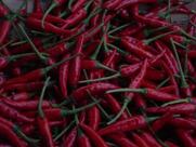 Le goût des basques Anglet