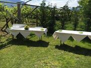 Grünwald di Rossi Andrea