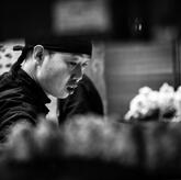 Sushiko Rovigo