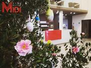 Ristorante Pizzeria "La Dispensa"