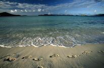 SHREE GANESH PURE VEG RESTAURANT