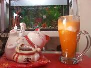 HOT ~ House of Taste Restaurant & Cafe