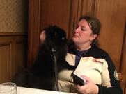 Restaurant A l'Arbre Vert