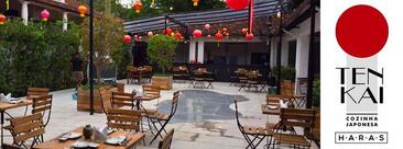 TEN KAI - HARAS Rio