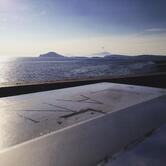 Langoustine Flower-Bar