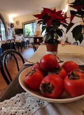 Ristorante Fichetto - Pensione e Bar