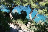 Lučica- restaurant and rooms, Pučišća