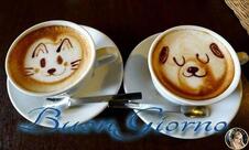 MARGHERITA BAR CAFFETTERIA APERITIVI