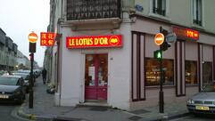LE LOTUS D'OR