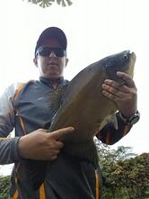 RESTAURANTE E PESQUEIRO DO HENRIQUE