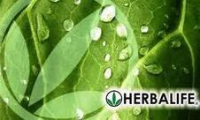 Herbalife Independent Associate India