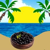 Ilha do Açai