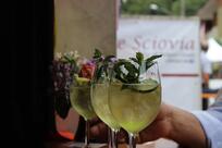 Bar Ristorante Sciovia