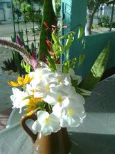 O Pukaro Bar E Restaurante Regional