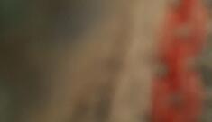 Saint Louis Gourmet - Petiscaria