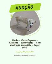 Garagem Santa Helena Volta Redonda RJ