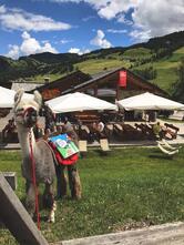 Rifugio - Ütia Paraciora - Hütte